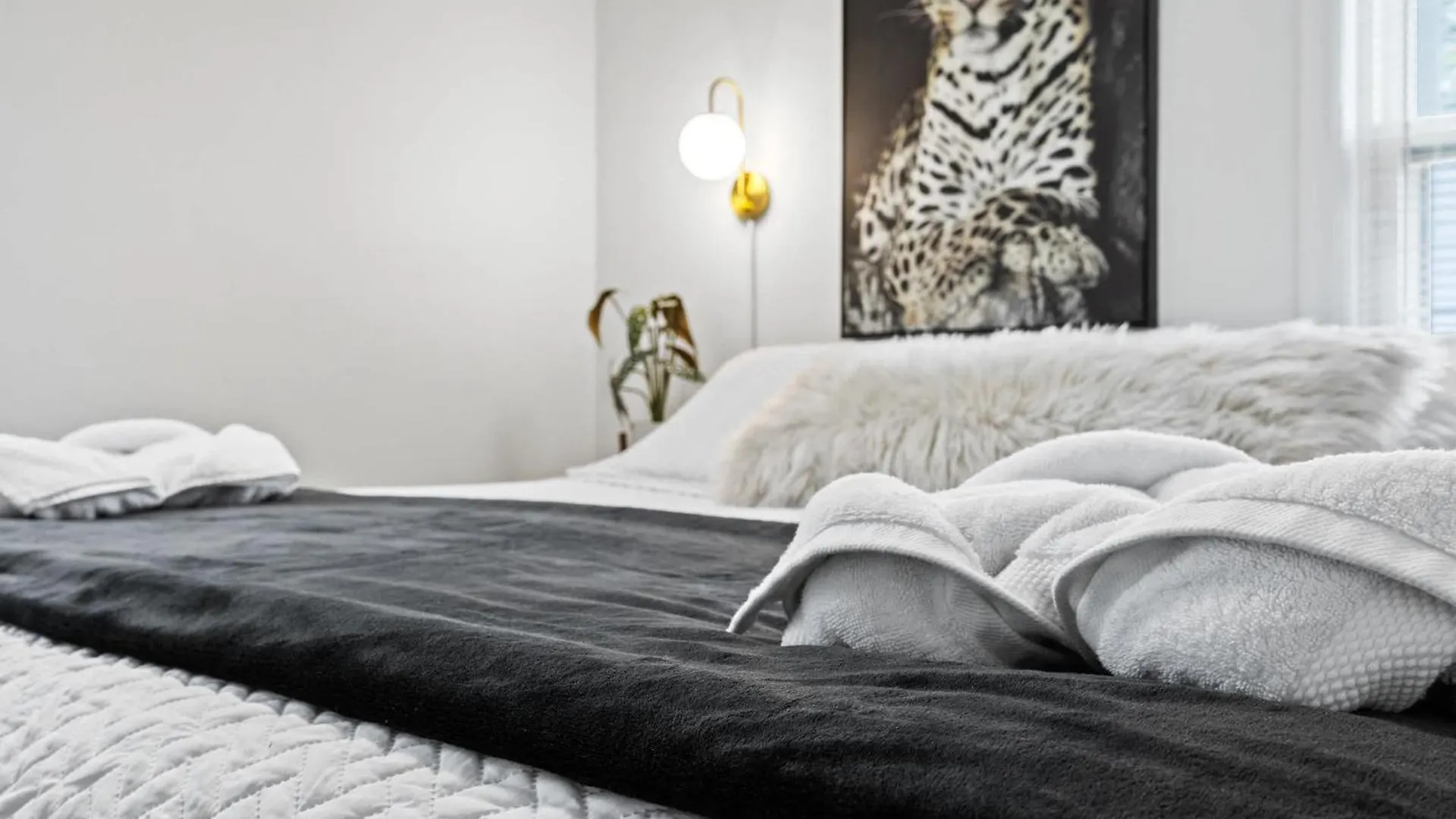 Apartment Modern Louisville Stay Free Parking Prime Location