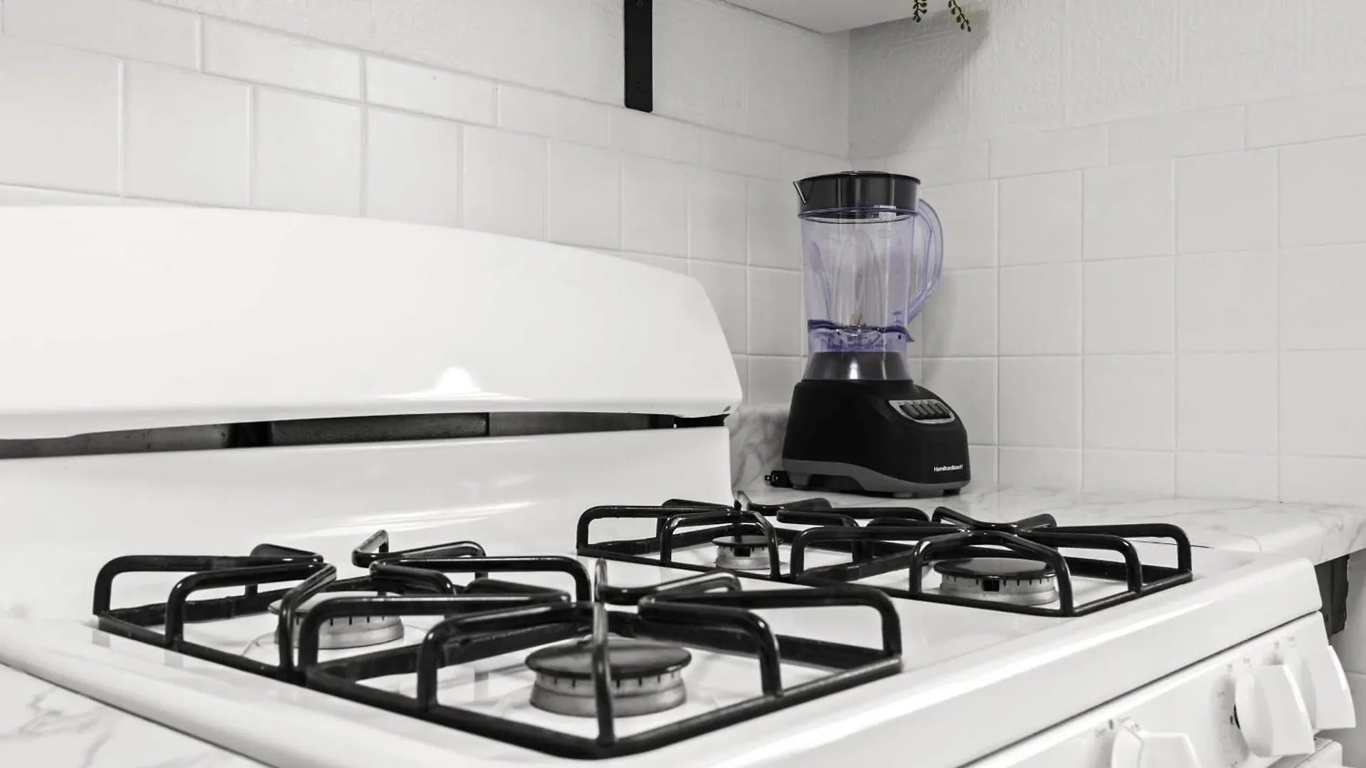 Modern Louisville Stay Free Parking Prime Location Apartment